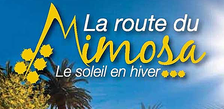 Mimosa Festival & Route: Een Geurige Gouden Reis door Zuid-Frankrijk