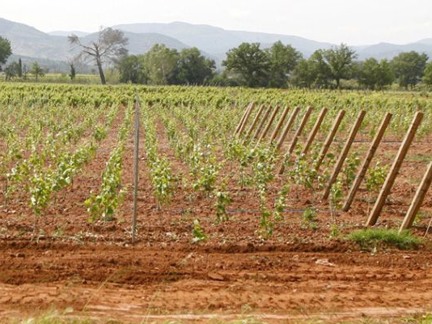 Château des Demoiselles