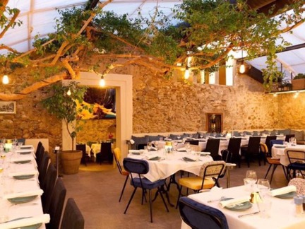 Napoleon Saint-Tropez