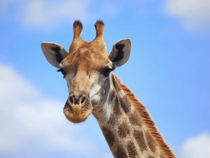 Parc Zoologique de Frejus