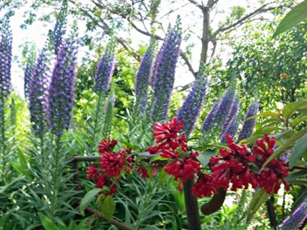 Jardin Botanique et Exotique Val Rahmeh 