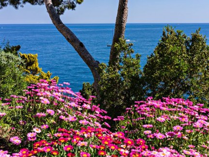 Jardins Saint-Martin