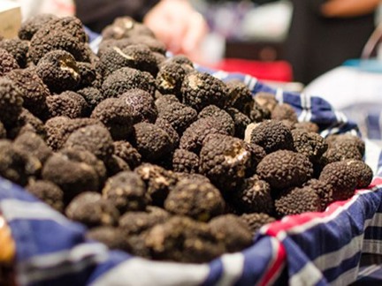 Marché aux truffes Aups