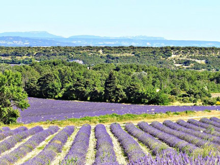 Nature & Bike Provence - Avignon