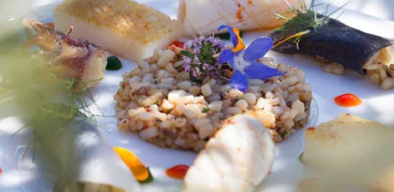 Onze favoriete restaurants in Zuid-Frankrijk